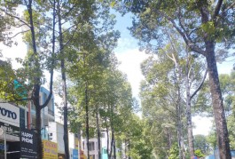 Ngộp Tô Hiến Thành - HXH vô nhà  Quận 10 - 4x16m2 - 4 tầng